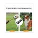 Device to prevent barking dogs - Buy Online on GoSupps.com