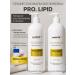 Vashlik Professional Lipid shampoo and balm professional care set