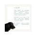 KRKA Selafort 12% 2 ml (240 mg) for dogs 20.1- 40 kg No. 1 - Buy Online on GoSupps.com
