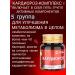 Spring of Health Complex vitamins for the heart and vessel cardiorosis - Buy Online on GoSupps.com