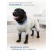 MOORLAND Popon for a large dog postoperative boot - Buy Online on GoSupps.com