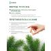 IMBIAN Pine bark extract 60 capsules - Buy Online on GoSupps.com