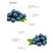 IMBIAN Blueberry extract 60 capsules - Buy Online on GoSupps.com