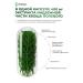 IMBIAN Horsetail of field extract organic silicon - 60 capsules - Buy Online on GoSupps.com
