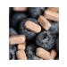 Health from Siberia Chewing tablets with blueberries - Vitamama - Buy Online on GoSupps.com