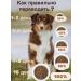 Shumik Dry food for dogs of large breeds fish assorted 10 kg - Buy Online on GoSupps.com