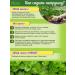 SeedSynapse Parsley seeds 100g - Buy Online on GoSupps.com