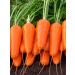 SeedSynapse Rexi carrot seeds (health beds) juicy sweet pulp - Buy Online on GoSupps.com