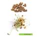 SeedSynapse Set "Express" seeds for germination in a bank - Buy Online on GoSupps.com