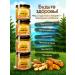 Treasures of the Taiga Honey with turmeric and ginger Altai natural - Buy Online on GoSupps.com