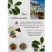 RudomanoV Renal herbal collection - Buy Online on GoSupps.com