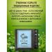 Health of Siberia Fitocha from wild herbs No. 4 (light breathing) - Buy Online on GoSupps.com