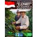 IPNOSI Coffee in grains 3 kg of arabica 100% Indonesia ElePhant - Buy Online on GoSupps.com