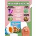 Balm against nail fungus and MAZ from pain in heels 2 pcs - Buy Online on GoSupps.com