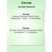 Malgeuldam Broccoli Extract Clus concentrate 50 ml - Buy Online on GoSupps.com
