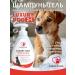 Shampoo-gel for short-haired dogs Luxury Dog 2V1 300ml
