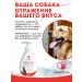 Shampoo-gel for short-haired dogs Luxury Dog 2V1 300ml - Buy Online on GoSupps.com