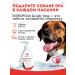 Shampoo-gel for short-haired dogs Luxury Dog 2V1 300ml - Buy Online on GoSupps.com