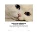 Pets care is removed by itching redness of 2pcs Cream 2pcs - Buy Online on GoSupps.com