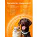 Pet's health Vitamins for cats and dogs for immunity - Buy Online on GoSupps.com