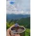 Tea drink "Mountain elixir" Herbal tea - Buy Online on GoSupps.com