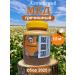 Altai buckwheat honey 1 5 kg collection 2025