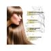 eelhoe decrease in the loss of essential oil improves hair fragility - Buy Online on GoSupps.com