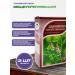 bee lab Herbal collection for immunity 2 pcs. 50 gr