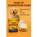 Technician Ointment for healing the skin of dogs and cats from wounds and itching