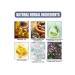 West & Month Grown Noga on the toe Oil for caring for ... - Buy Online on GoSupps.com