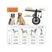 Rehabilitation wheelchair for large dogs - Buy Online on GoSupps.com