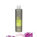 EVA PROFESSIONAL HAIR CARE Hair shampoo against falling e-line Care