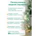 FOR A HEALTH Chlorophyll liquid for weight loss of mint - Buy Online on GoSupps.com