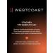 Westcoast Body scrub perfumed 3 pcs 300 ml - Buy Online on GoSupps.com