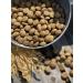 Dog feed 12 kg Fish beef Maxi Adult 25% - Buy Online on GoSupps.com