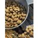 Dog feed 12 kg Fish beef Maxi Adult 25% - Buy Online on GoSupps.com