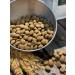 Dog feed 12 kg Fish beef Maxi Adult 25% - Buy Online on GoSupps.com