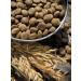 Dog feed 12 kg Fish beef Maxi Adult 25% - Buy Online on GoSupps.com