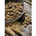 Dog feed 12 kg Fish beef Maxi Adult 25% - Buy Online on GoSupps.com