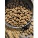 Dog feed 12 kg Fish beef Maxi Adult 25% - Buy Online on GoSupps.com