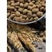 Dog feed 12 kg Fish beef Maxi Adult 25% - Buy Online on GoSupps.com