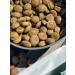Dog feed 12 kg Fish beef Maxi Adult 25% - Buy Online on GoSupps.com