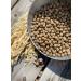 Dog feed 12 kg Fish beef Mini Adult 25% - Buy Online on GoSupps.com