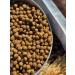 Dog feed 12 kg chicken 23% Meatline mini adult 22 - Buy Online on GoSupps.com