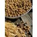 Dog feed 12 kg chicken 23% Meatline mini adult 22 - Buy Online on GoSupps.com