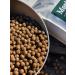 Feed for dogs dry 12 kg Fish 24% Meatline mini adult 22% - Buy Online on GoSupps.com