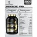 Kevin Levrone Isolate Black Line Anabolic ISO Whey 2KG (chocolate) - Buy Online on GoSupps.com