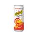 Schweppes Drowned drink Argum 'zero citrus fruits 2 pcs x 330 ml - Buy Online on GoSupps.com