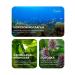 HydroBionique by Doctor Ocean Foam for washing with sea collagen - Buy Online on GoSupps.com