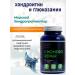 GP Biolabs CHONDRO repaid-chondroitin and glucosamine food supplement - Buy Online on GoSupps.com